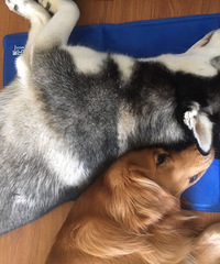 �������٣������ﱦ��һ��С����