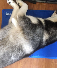 �������٣������ﱦ��һ��С����