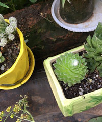 ��ʵ��Ҳ���ֶ��⣬���ǳ��������