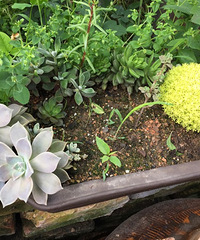 ��ʵ��Ҳ���ֶ��⣬���ǳ��������