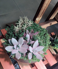 �����Ⱑ��