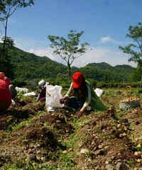 �����幤���ƶ��ѧ���������������䳩��