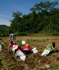 �����幤���ƶ��ѧ���������������䳩��