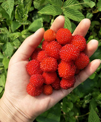 �����ӹ��� �������͵�С�۷�