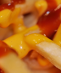 һ����ʵ����ۡ�������