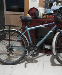 ת��2���������г�