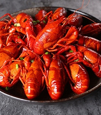 ����Գ� ��������8�ֿ�ζ�Ը���