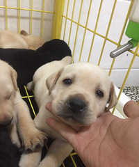 �Լ������������������һ��С��