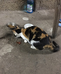 �������������