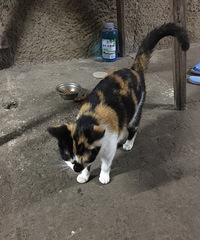 �������������