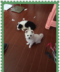 ����²������ۣ�Ʒ�������