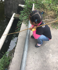 ����Ϻ��