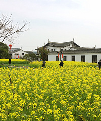 �����Խ��Խ����