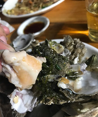 大陈岛攻略 小海岛的慢生活 一定带驱蚊液