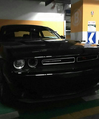 ���������û��