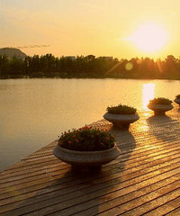 �ͺ�����