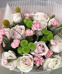 520�����۱��Ϲ���������