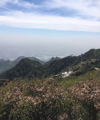 一览纵山小 泰山攻略来袭