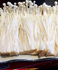 �����Ĳ�Ҫ��Ҫ��