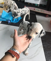 �ߵ�ܵ��Һ��˼�����