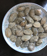 520����DIY����fensi