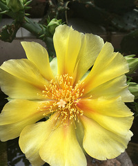 ��ʮ����ͷ�����᲻�ٹ�