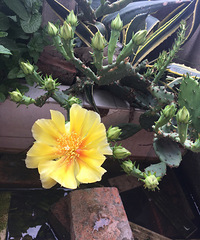 ��ʮ����ͷ�����᲻�ٹ�