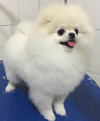 ��ҳ谮�м�����ݻ�ӭ��ҹ���