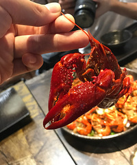 ���������Ϻ