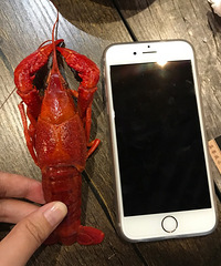 С��è�ԳԷ��������� С С �� Ϻ