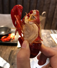 С��è��С��Ϻ