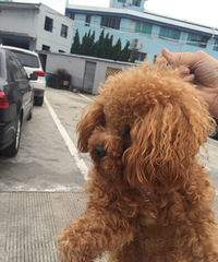 Ѱ����ʾ��̩�ϡ������͡�