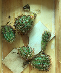 ��л����������@΢�ŷ�����������