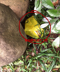 �����ϡ����˾�Ȼ�ڹ�԰ˮ̶��͵����������