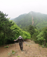 徒步海拔千米括苍山脊 观赏天然野生云锦杜鹃