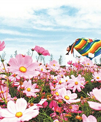 9���ƽ�ĸ�ɣ��