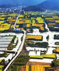 [��Ͷ��100�ڣ�]����ѡַ�ڻ���