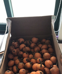 ���۸��᡿�����������ôѡ��