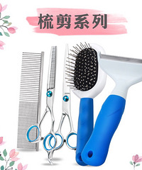 ����һ�����һ���Ź���ʼ��