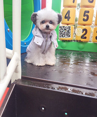 ��˵ŷ��٤����Ҫ�й�����