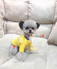 ��˵ŷ��٤����Ҫ�й�����