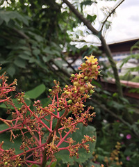 �۸¸¸¸£�׳�Ҵ�̨�ݣ�¥��â���ҹ���