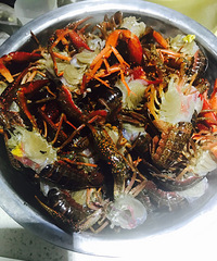 ����С��Ϻ �ƹϺ�����Ǳر���Ŷ