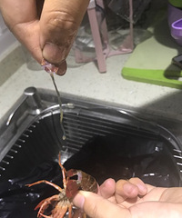 ����С��Ϻ �ƹϺ�����Ǳر���Ŷ