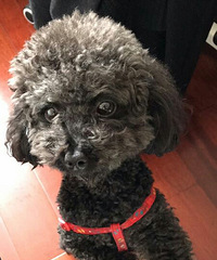 ɣ�ģ����İ���С�ڶ�ʧ��