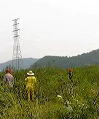 ����԰�ӡ� �ջ���ǧ���۴������Ϲ���������