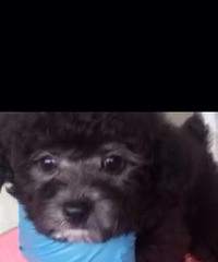 ����̩�����¼ҡ���Ǯ����