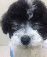 ����̩�����¼ҡ���Ǯ����