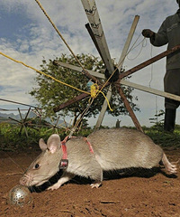 һ�׵�����Ů�˿�������