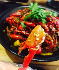 ������ʳ������Ϻ